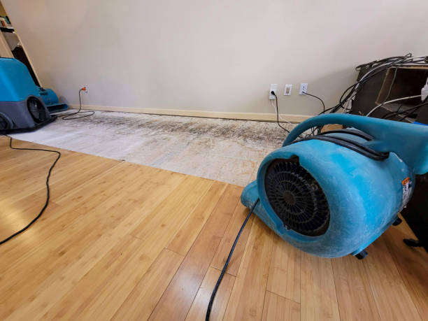 Professional Structural Drying technician working in Houston, PA